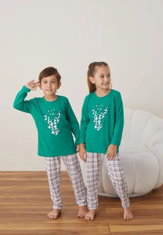 Pijama Crăciun Fete și Băieți, Mânecă Lungă, Pantalon Lungi, Verde, Ren